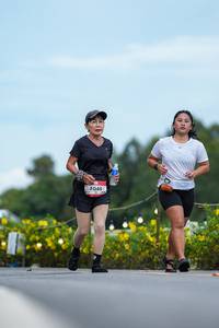 BIB: 
                            <button type="button" onclick="openModal(26554530)" class="btn btn-primary btn-sm float-right btn-popup" data-toggle="modal" data-target=".modal-high-quality">
                        <i class="fas fa-shopping-cart"></i> Add to Cart
                    </button>
                                            <button type="button" onclick="isThisMe(26554530, true)" class="btn btn-success btn-sm float-right btn-popup btn-isme hidden" data-toggle="tooltip" data-placement="bottom" title="นี่คือรูปของคุณใช่ไหม คลิกที่นี่เพื่อเอาเข้าอัลบั้ม">
                        <i class="fas fa-plus"></i> Add to album
                    </button>
                    <button type="button" onclick="isThisMe(26554530, false)" class="btn btn-warning btn-sm float-right btn-popup btn-isnotme hidden">
                        <i class="fas fa-ban"></i> Remove from album
                    </button>